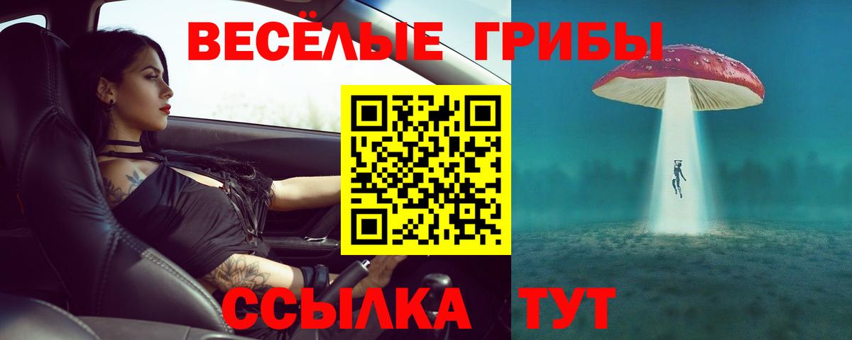 Ухта  Псилоцибиновые грибы мухоморы  Вход с VPN 